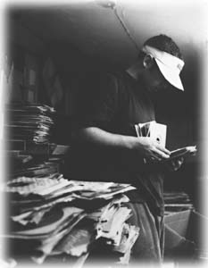 DJ Shadow