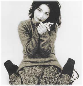 Bj&ouml;rk
