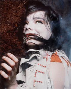 Bj&ouml;rk