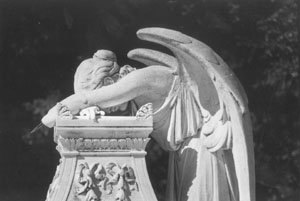 short picture description